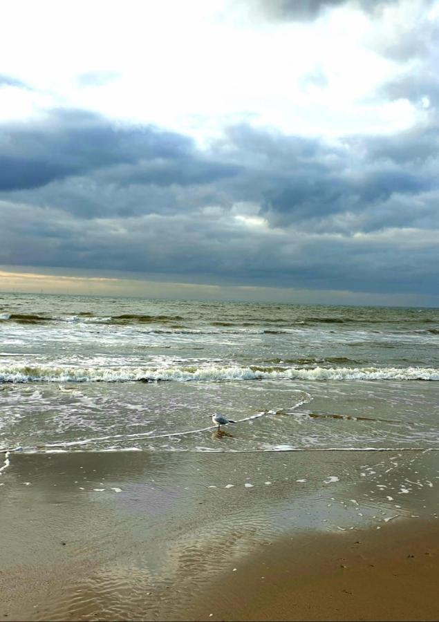 Zeelui Hotell Egmond aan Zee Eksteriør bilde